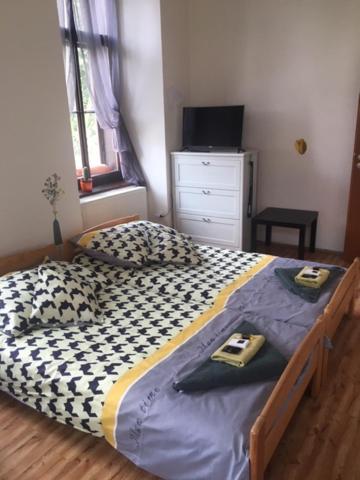 Penzion Willa Guest house